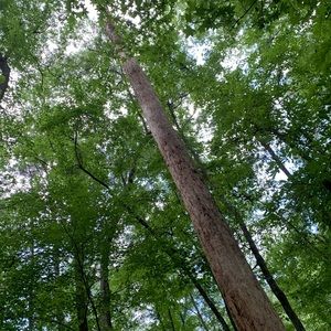 Meet your Posher, Wyatt